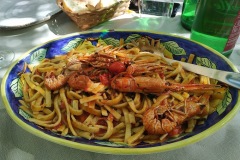 primi-piatti-new-garden-48