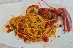 primi-piatti-new-garden-56