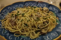primi-piatti-new-garden-75