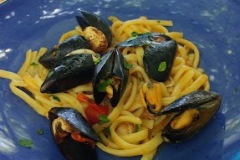 primi-piatti-new-garden-87